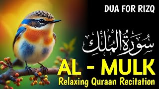 The Heart touching voice Most Relaxing Recitation of Surah AlMulk  سورة الملك   Sal [upl. by Marsha]