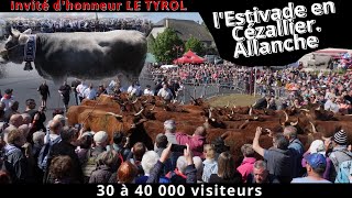 La belle journée pour le 30° anniversaire de la fête de lEstive à ALLANCHE 15 [upl. by Kingston]