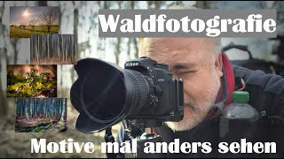 Landschaftsfotografie  WALDFOTOGRAFIE mal anders  Mehrfachbelichtung Panoramen Makro usw [upl. by Yllier]