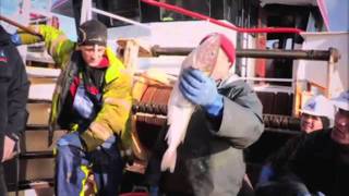 River Cottage  Hugh FearnleyWhittingstall  Fish Fight  Witnessing discard in the North Sea [upl. by Aelat]