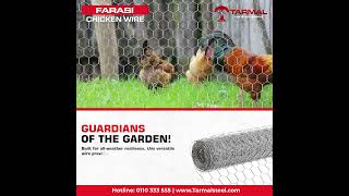 Guardians of The Garden farasiwire tarmalsteel chickenwire kenyanews farming [upl. by Park121]