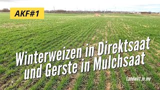 AKF 1 2023 Winterweizen in Direktsaat und Gerste in Mulchsaat [upl. by Jacobah]