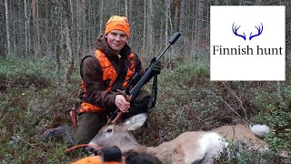 Peuran metsästys Deer hunting  Finnishhunt [upl. by Hopfinger]