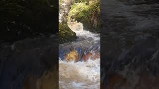 Ingleton waterfall walk [upl. by Nosyla940]