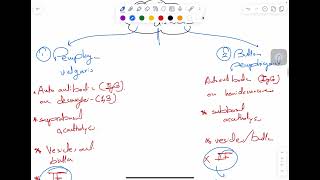 MSS pathology lab 1  part 2 [upl. by Eslehc]