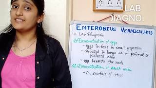 Enterobius Vermicularis morphology Life cycle in hindi Pathogenesis in hindi Lab diagnosis [upl. by Emyle718]