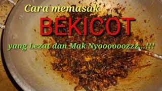 Cara Memasak Daging BEKICOT dan membersihkan lendirnyasupaya enaklezat dan mak nyoooooozzz [upl. by Schild]