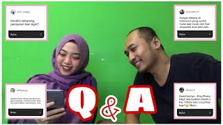 QnA Monfic  Ikan Sudden Death Filter yang baik untuk ikan predator [upl. by Aknahs]