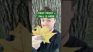 First frost triggers dead leaves fall autumn gardening lawncare environment climate midwest [upl. by Adnilema]