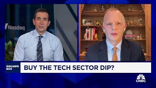 Neuberger Bermans Dan Flax on buying the tech sector dip [upl. by Hartman78]