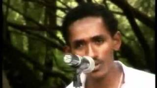 Hachalu HundessaNew Oromo Music [upl. by Lain]