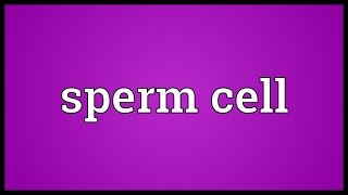 Sperm cell Meaning [upl. by Yonit]