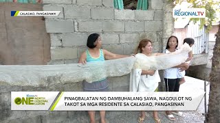 One North Central Luzon Pinagbalatan ng dambuhalang sawa nagdulot ng takot sa mga residente [upl. by Vonnie]