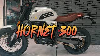 Hornet 300 cc Mb [upl. by Amaj]