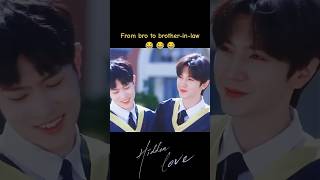 Hidden Love hiddenlove cdrama shorts [upl. by Nahej]