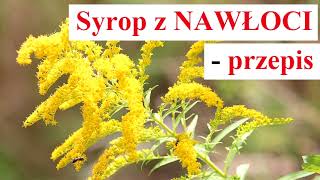 Syrop z NAWŁOCI  PRZEPIS [upl. by Rhine]