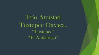 TUXTEPEC Y EL ANDARIEGO TRÍO AMISTAD TUXTEPEC OAXACA [upl. by Nalrah269]