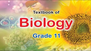 25 BIOLOGICAL MOLECULES PART 5 II 11TH CLASS FEDERAL BIOLOGY [upl. by Nomahs90]