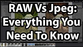 RAW Vs Jpeg  EVERYTHING You Need To Know [upl. by Jemena]