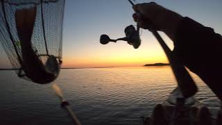 Pamlico River 4212021 23quot Speckled Trout on Rapala Skitterwalk [upl. by Bonucci]