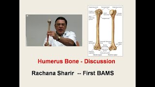 Humerus l Osteology l Human Anatomy l Rachana Sharir l First BAMS [upl. by Nydroj]