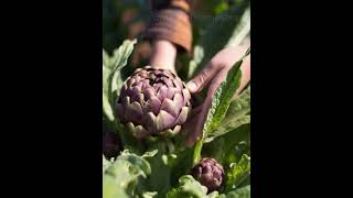 7 Perennial Vegetables You can Enjoy For Seasons To Come gardening vegetablepicking [upl. by Naleek]