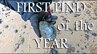 Oceanside Oregon  January Rockhounding [upl. by Anomahs]