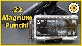 How GOOD Is It NEW Federal Premium PUNCH 22 Magnum Ballistic Gel Test With the WMP amp Barkeep [upl. by Nho]