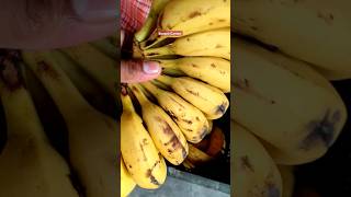 Of The Tree Banana shorts viral fruits garden [upl. by Ynehteb326]