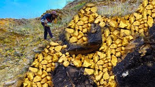 Digging for Diamonds Crystals and Gold on Public Land  Unbelievable [upl. by Sneed671]