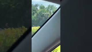 Another Brightline crash OnlyinFloridaA Via enterviewteev florida fl floridanews [upl. by Mohsen]