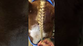 How To Braid a Forelock [upl. by Ereveneug]