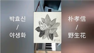 박효신  야생화 피아노커버 [upl. by Norrehc]