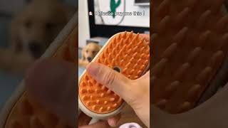 😽Pet Cleaning Massage Comb❤️❤️pets shorts shopify goodthing ecommerce dropshippingbusiness [upl. by Aztiraj]