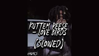 Kuttem Reese  Love Birds Slowed SLOWED [upl. by Nahsrad]