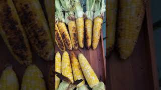 Grilled corn on the cob  Bacorn [upl. by Darcee]