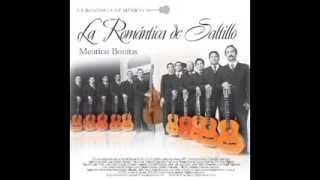 Mentiras Bonitas Álbum completo La Romántica de Saltillo 2011 [upl. by Mccomb261]