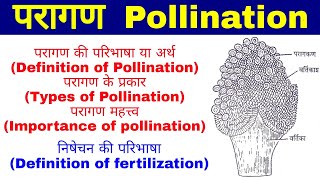 परागणPollination परागण के प्रकारTypes of Pollination परागण महत्त्व importance of pollination [upl. by Mendez]