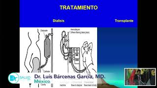 Efecto terapéutico del suero de Anguila en la Insuficiencia Renal Crónica [upl. by Roxanne980]