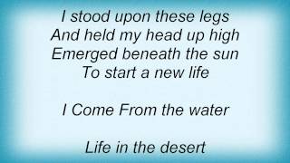 Toadies  I Come From The Water Lyrics [upl. by Reine838]