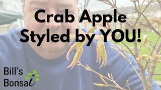 Crab Apple Styled By You  Bonsai  Wiring [upl. by Pardoes]