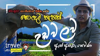 Travel With Chathura  නිවාඩුවට පොඩ්ඩොත් එක්ක යන්න හොදම තැනක්  උඩවලව ඇත් අතුරු සෙවණ [upl. by Elamrej967]