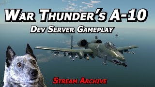 A10 Warthog Dev Server Gameplay Twitch VOD Real Pilot Plays War Thunder [upl. by Rahsab]