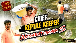 Mating Timeல ரொம்ப Fastஆ இருப்பாங்க  Chief Reptile Keeper Nagarathinam  LifeStory  PTPrime [upl. by Ahsinrat551]