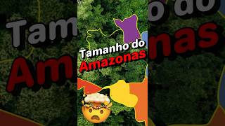 O SURPREENDENTE tamanho do Amazonas amazonia geografia amazonas brasil [upl. by Atews]