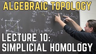 Algebraic Topology 10 Simplicial Homology [upl. by Bloomer]