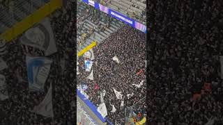 Sturm Graz Fans in Dortmund 05112024 [upl. by Aisat120]