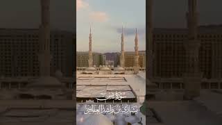 Surah Yaseen Mishary Rashid AlAfasy ♥️♥️ fyp subscribe shorts العفاسي Ubaidullah khan [upl. by Emlin]