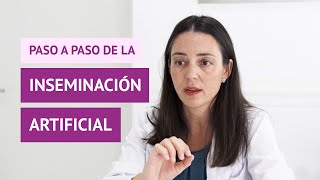 ¿Cuáles son los pasos que se siguen en un tratamiento de inseminación artificial [upl. by Vilhelmina407]