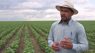 Franciosi Agro  Samoel Carvalho compartilha sua rotina com Farmbox [upl. by Oicnedif775]